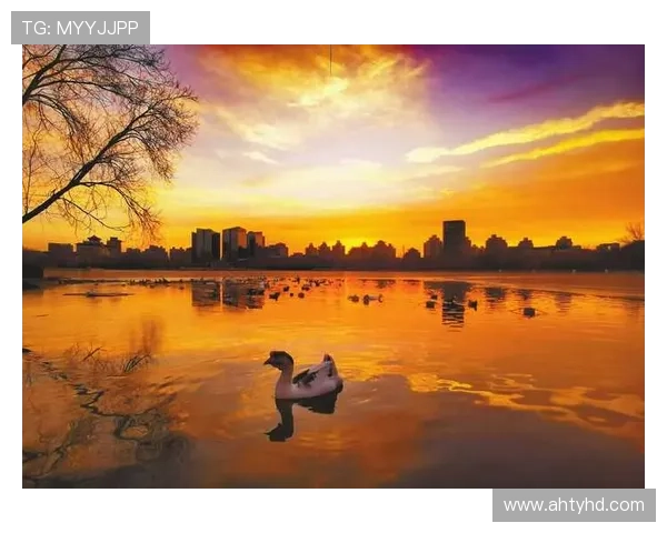 《绿萝花》：一曲温情脉脉的时代赞歌，照亮都市人心的静谧角落